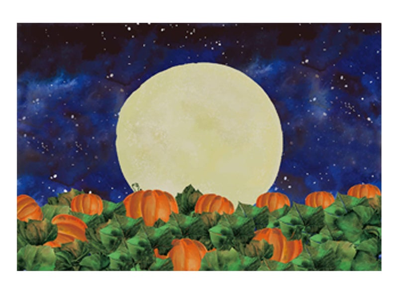Funnytree 7x5FT Halloween Pumpkin Field Photography Backdrop for Kids Birthday Party Banner Starry Sky Night Moon Background Photo Booth - Image 1